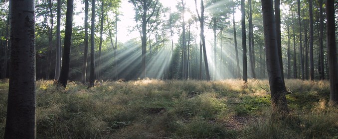 Stor interesse for naturprojekt for psykisk sårbare borgere