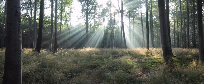 Stor interesse for naturprojekt for psykisk sårbare borgere
