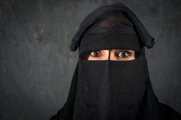 Institut for menneskerettigheder: Forbud og frihedstab har præget 2017