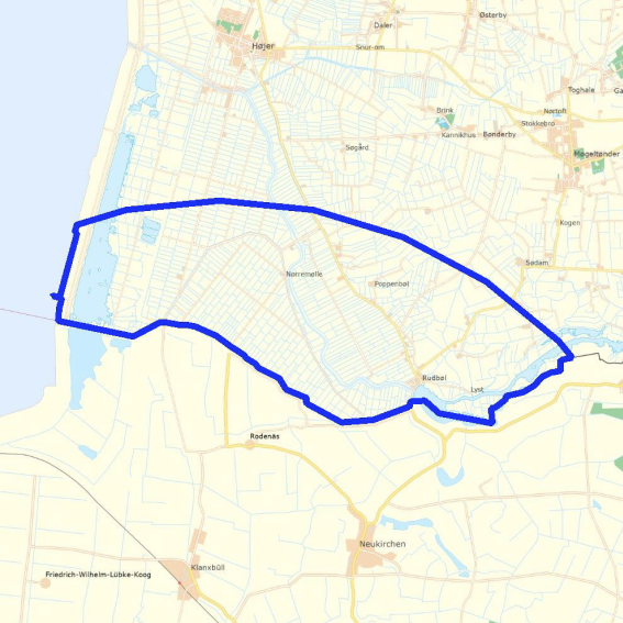 Dele af Sønderjylland er nu i overvågningszone for fugleinfluenza