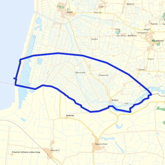 Dele af Sønderjylland er nu i overvågningszone for fugleinfluenza