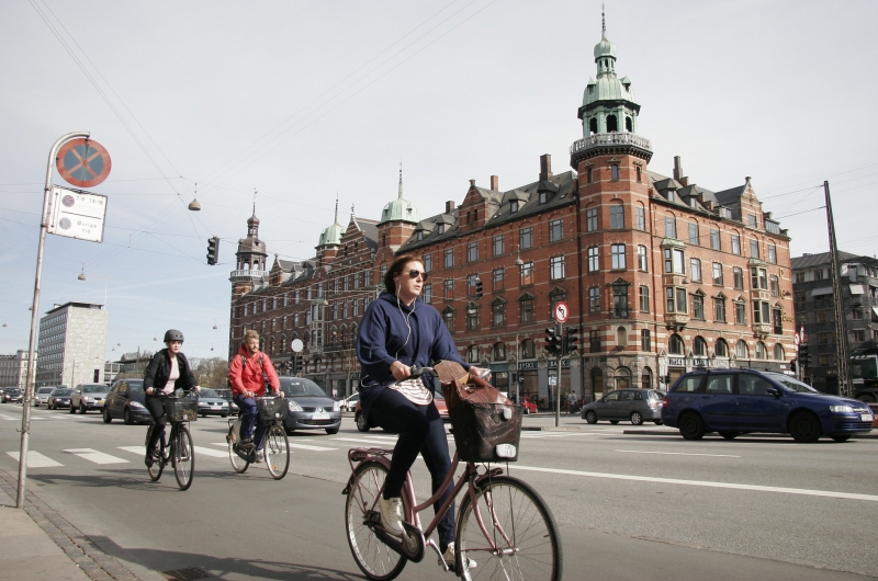 DI: Høj dansk CO2-afgift vil skade klimaet og gøre Danmark fattigere