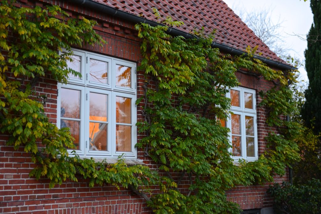 Boligkøberne vil have de bedste energimærker