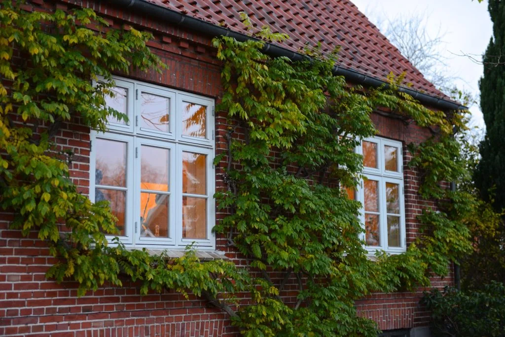 Boligkøberne vil have de bedste energimærker
