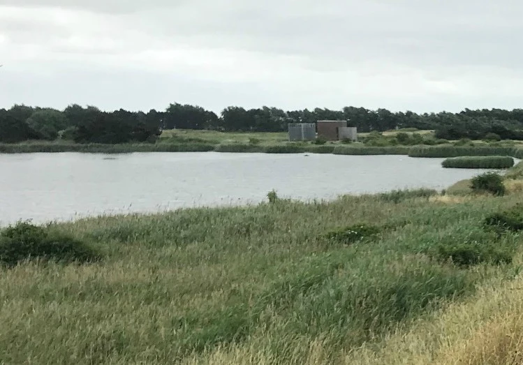 Femern A/S tømmer en sø – og bygger en ny