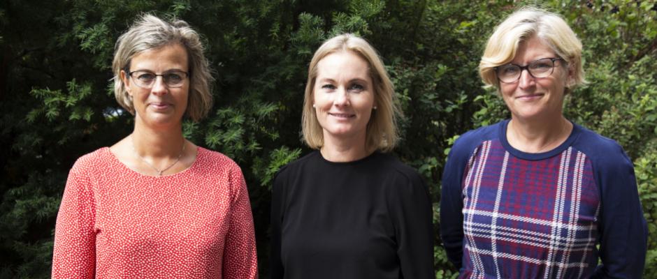 Den digitale omstilling er oppe i gear i Sikkerhedsstyrelsen