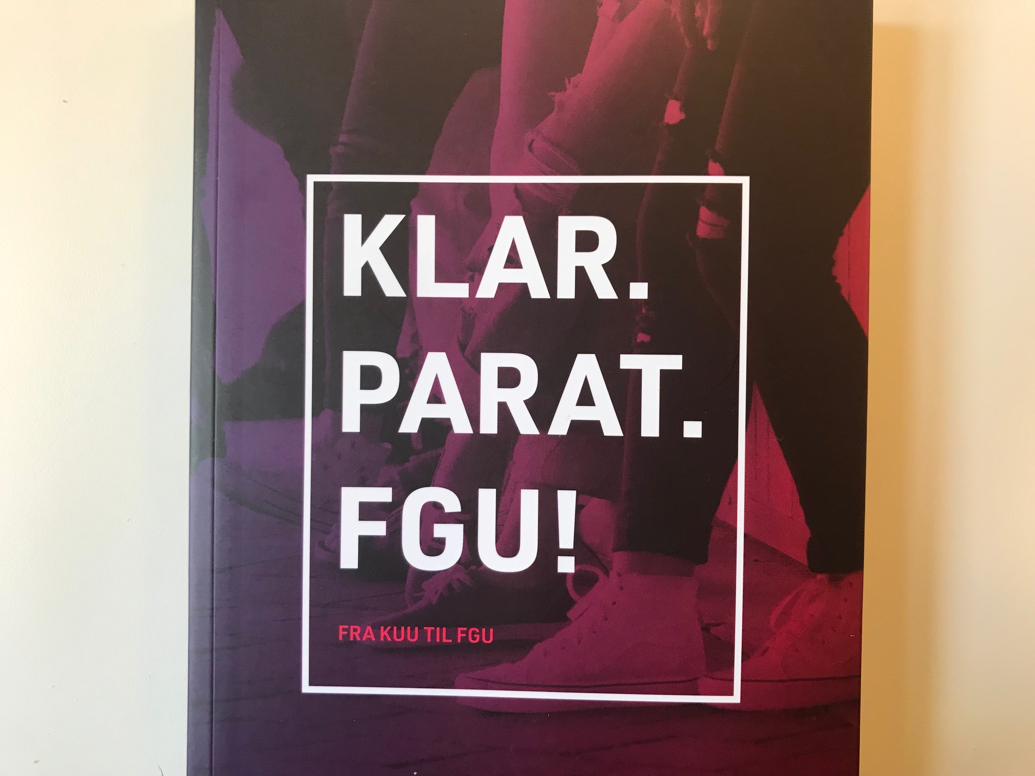 Tre gode råd til ny FGU i København