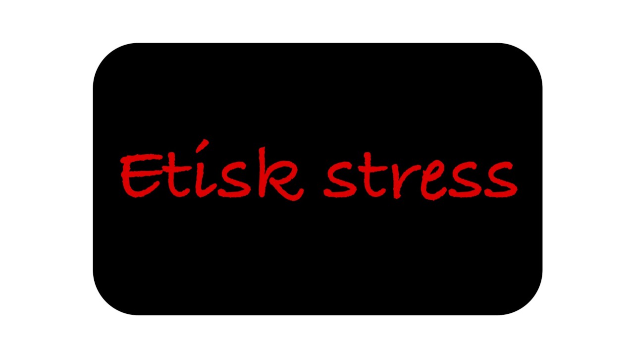 Etisk stress under og efter Coronakrisen i den offentlige sektor