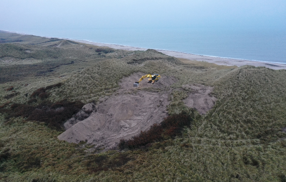 Bart sand øger biodiversiteten