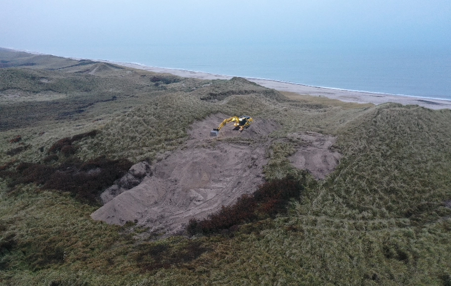 Bart sand øger biodiversiteten