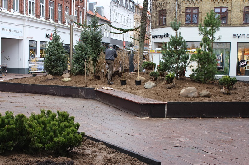 Planter mini-skov på gågade for at teste grønne byrum
