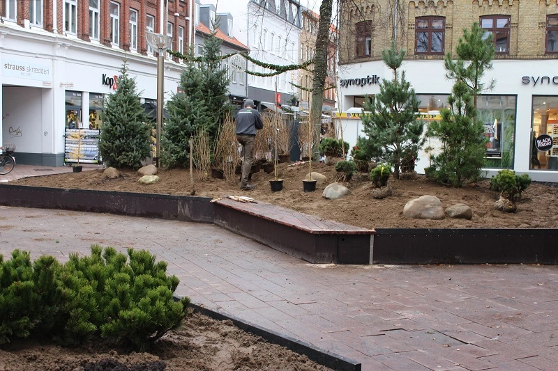 Planter mini-skov på gågade for at teste grønne byrum