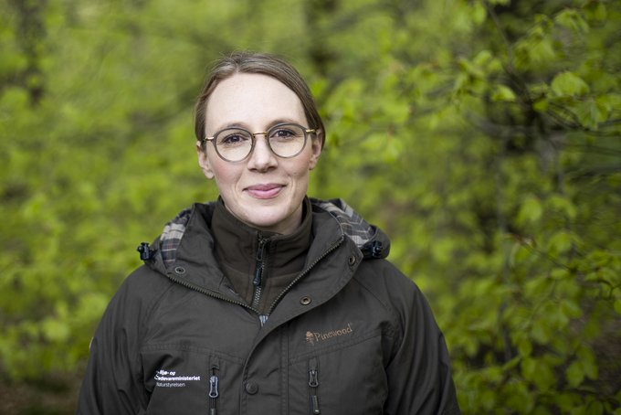 Stor saltvandsindsprøjtning til kystbeskyttelsen i Danmark
