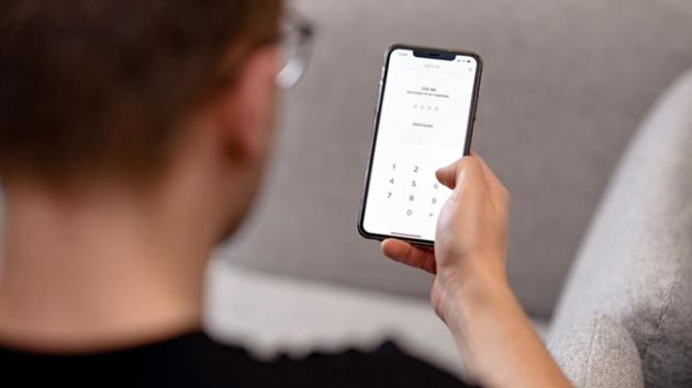 Efter svindel skal Nemkonto-systemet tjekkes