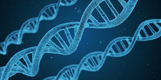 DNA-projekt får kritik: Kan skade borgernes tillid til staten