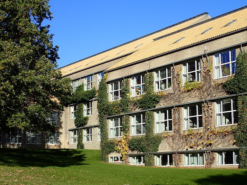 Aarhus Universitet starter nyt forskningscenter for offentlig ledelse