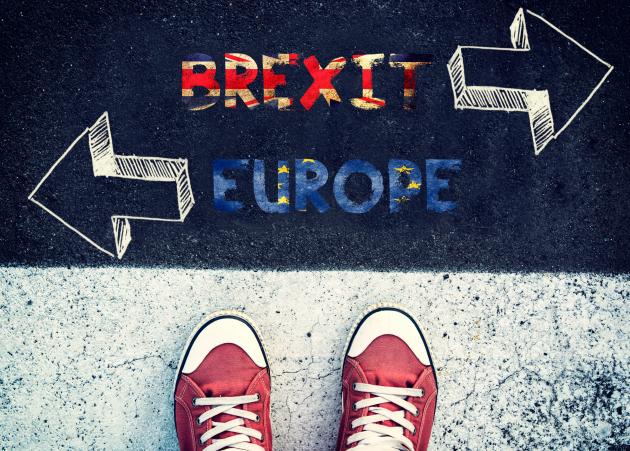 Lektor: Briterne udskyder det uundgåelige frie fald