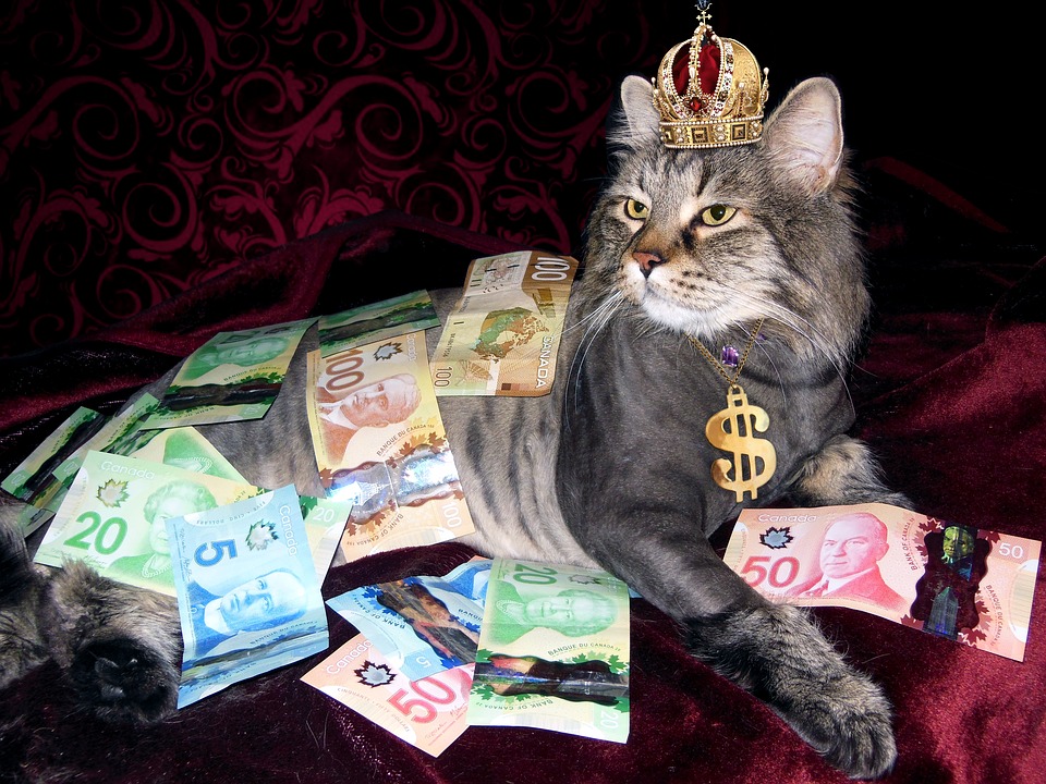 Fat Cat Thursday: Topchefer tjener på tre dage, hvad lønmodtageren tjener på et år