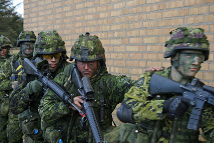 Forsvaret skal bevogte grænsen fra september
