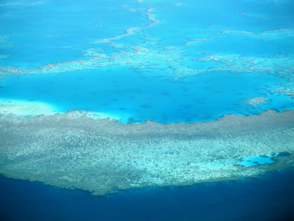 Forskere: Great Barrier Reef dør hurtigere end først antaget