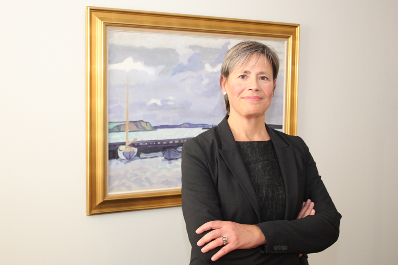 Direktør fyret efter anklager om løgn