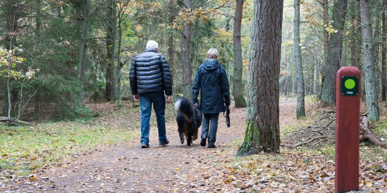 Hundeejere kan glæde sig: Der kommer flere