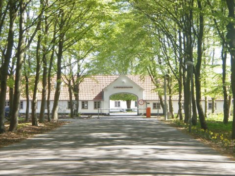 Afviste asylansøgere skaber utryghed i lokalområde