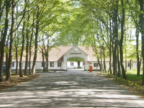 Afviste asylansøgere skaber utryghed i lokalområde