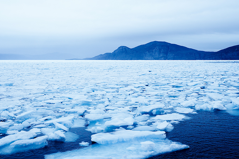 Vilde forandringer: Klimaskifte vender op og ned på naturen