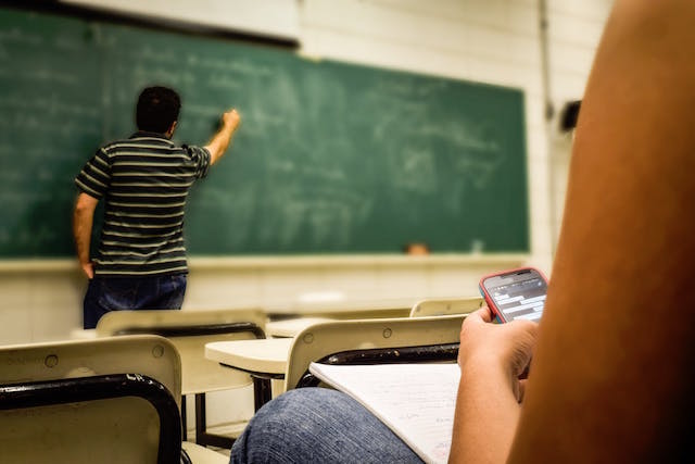Professionshøjskoler: Skolelærerne skal uddannes som autoriteter