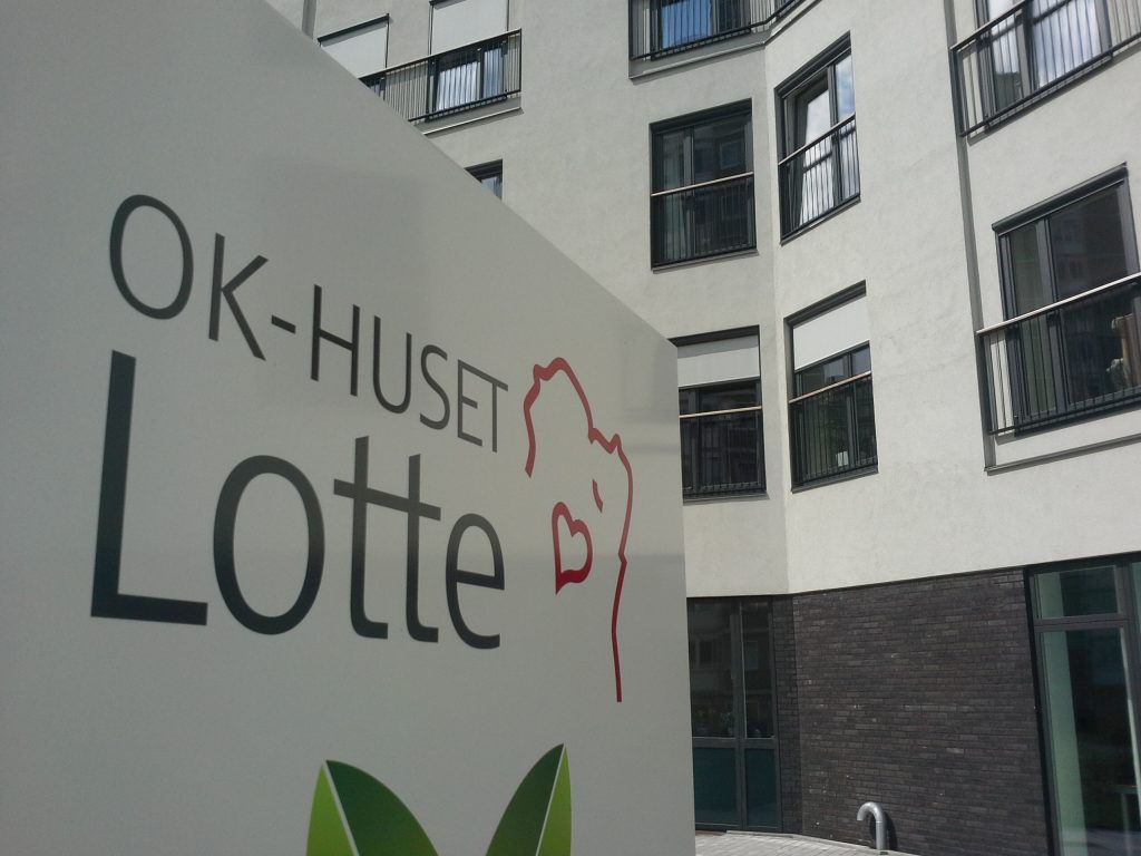 Fyret efter 19 år på Lottehjemmet:  De er onde ved beboerne
