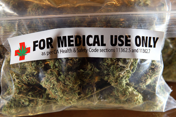 Medicinsk cannabis: Minister forventer stort dansk eksporteventyr