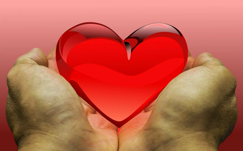 Nu er der 1 million organdonorer