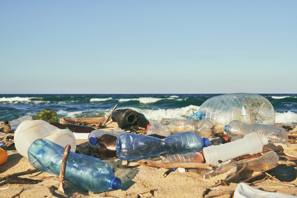 Ny undersøgelse afslører de største plastikforurenende mærker i Danmark