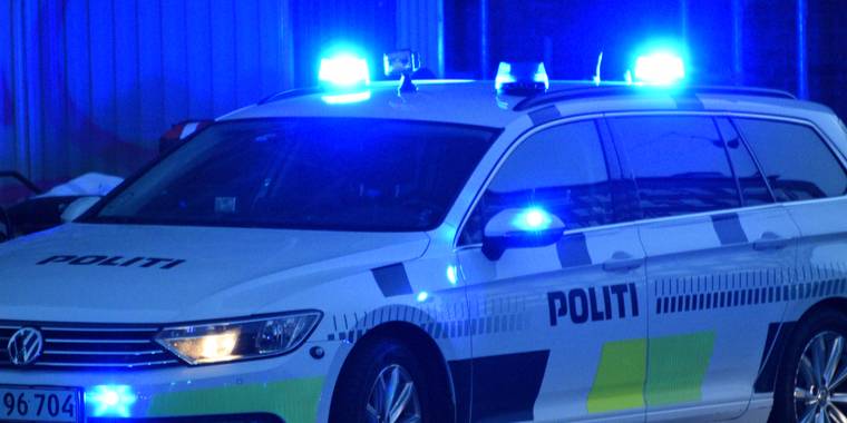 Rejseholdet vender tilbage