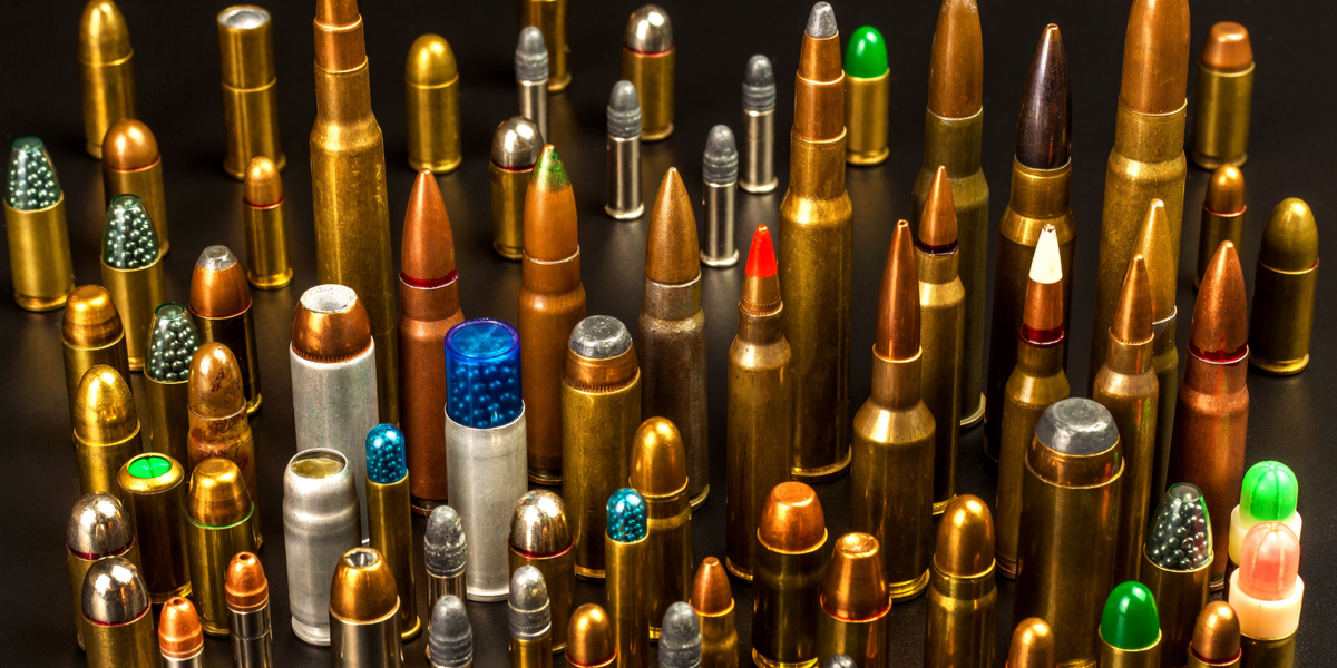 Som det første land i Verden: Danmark forbyder særlig ammunition til jagt