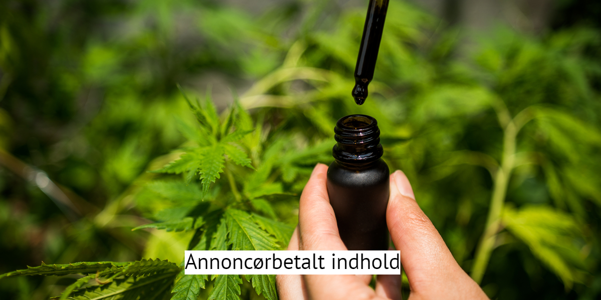Dette er det nyeste indenfor brugen af CBD-olie