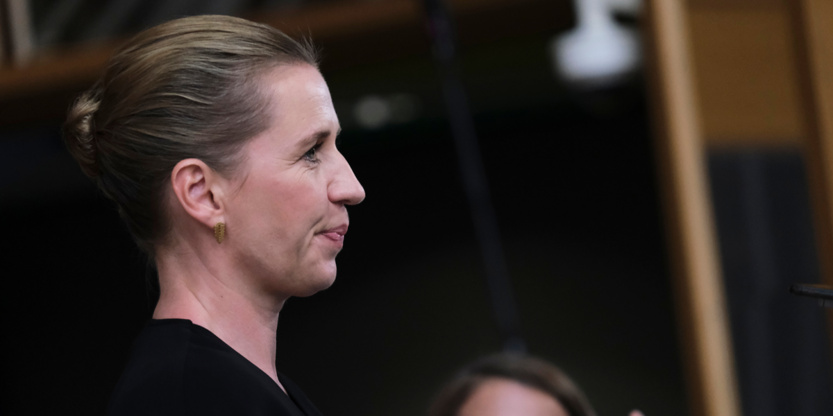 Venstre giver ikke op: Går til valg på uvildig undersøgelse af mink-sagen