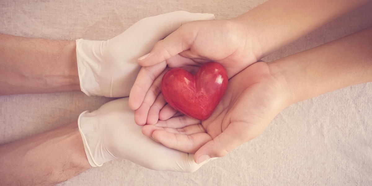 Borgerforslag om automatisk organdonation diskuteres på Christiansborg: Sådan vil partierne stemme