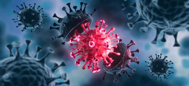 Ny corona-variant: Muligvis resistent overfor immunbehandlinger