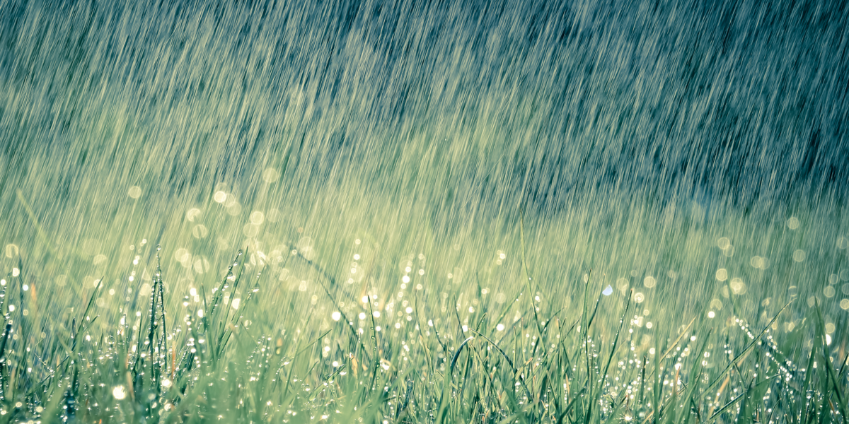 Sommervejret er aflyst: Her kan man få 40 mm regn i weekenden