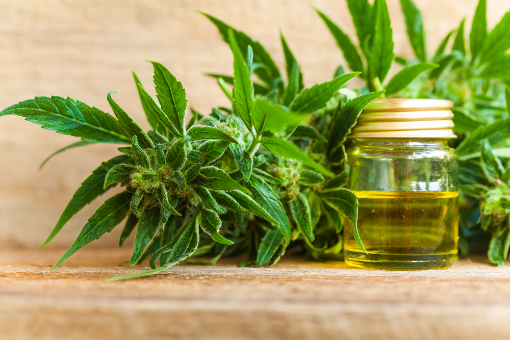 Overvejer du at bruge cannabisolie?
