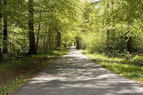 Danmarks natur får en 2020-plan