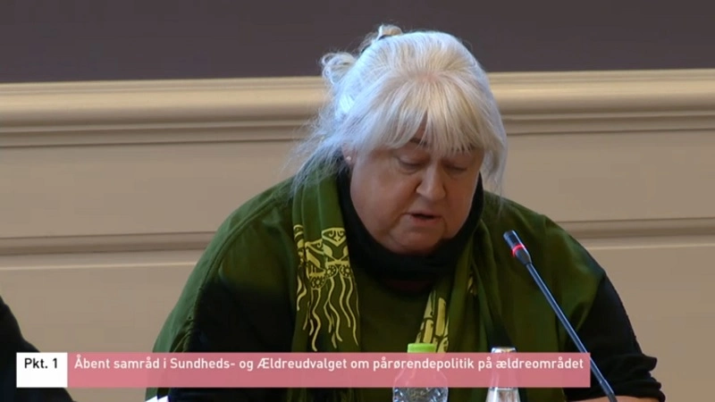 Nu skal velfærdsstaten hjælpe ensomme ældre
