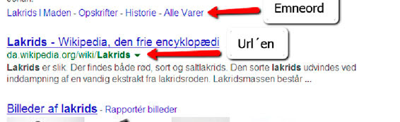 Skoleelever stoler blindt på Google