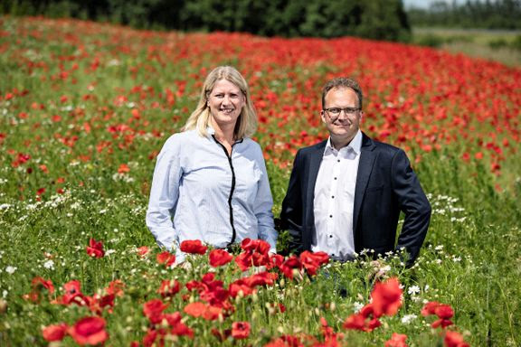 Afhænger dine muligheder af dit postnummer? Ny undersøgelser sætter fokus på forskellene mellem land og by