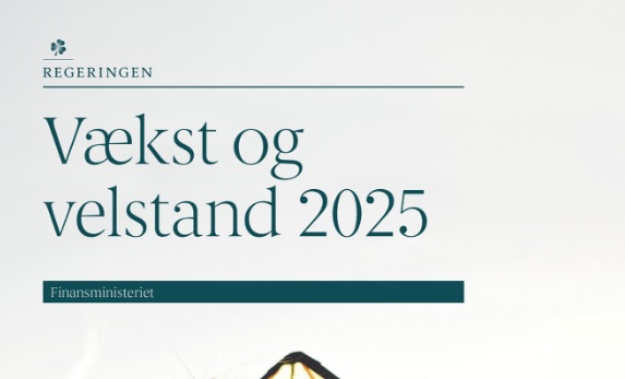 Ny 2025-plan: Vækst og velstand kræver rettidig omhu