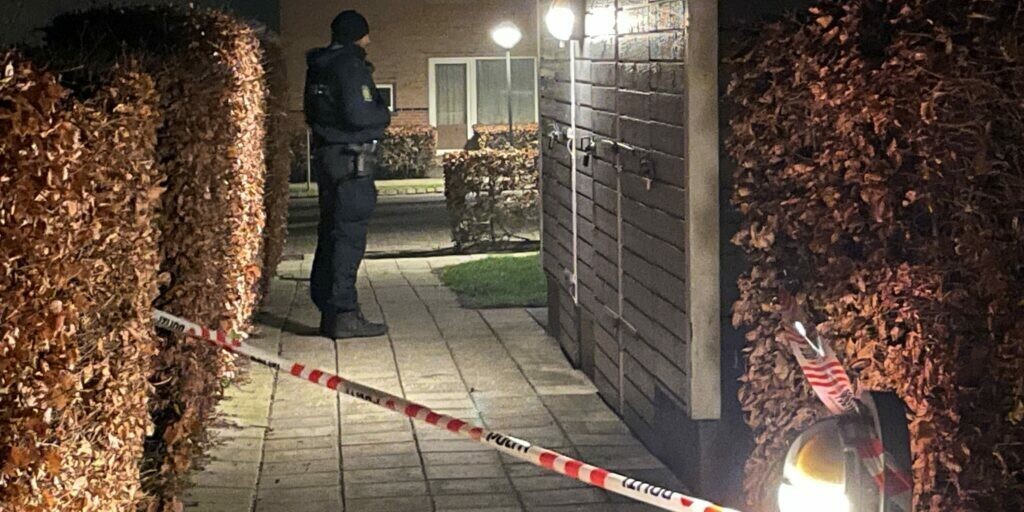 44-årig tilstår: Dræbte sin mor med kniv