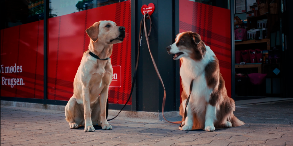 Coop satser på Brugsen – og de bruger talende hunde til det