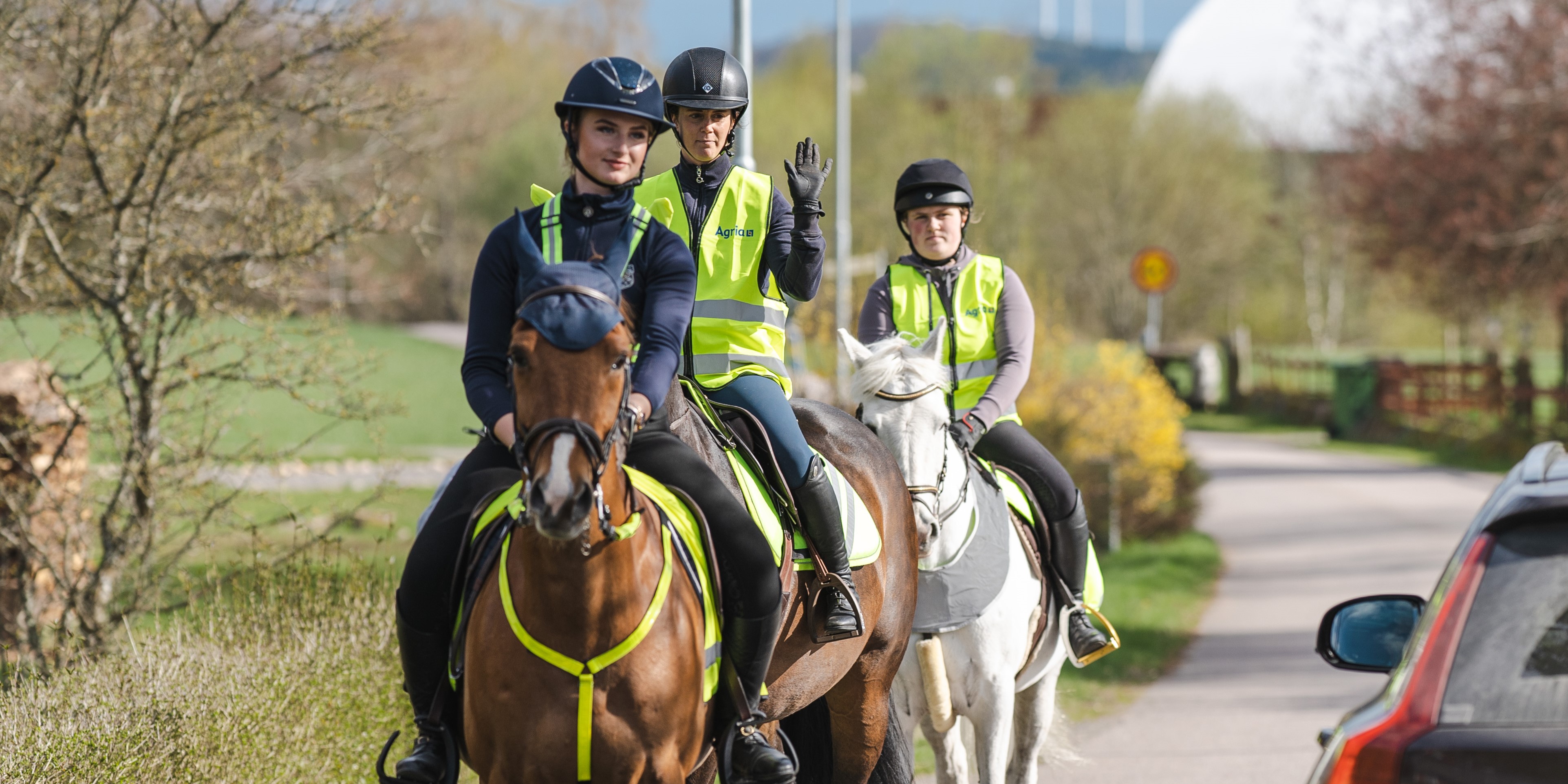 Sådan skal du passere heste i trafikken, uanset om du er i bil eller på cykel